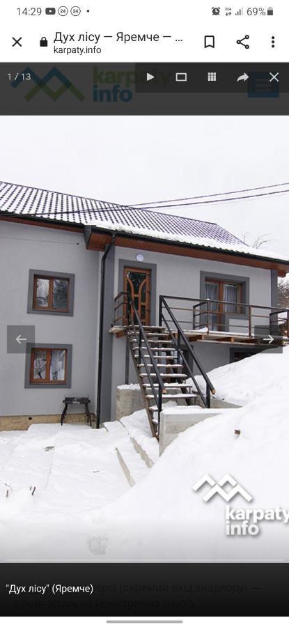 Villa Дух Лісу Jaremtsche Exterior foto