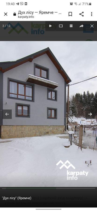 Villa Дух Лісу Jaremtsche Exterior foto